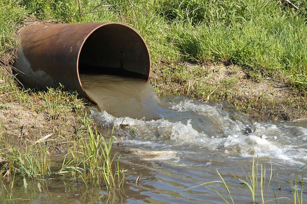 Rotary sludge disc dryer for drying of sludge from wastewater treatment plants