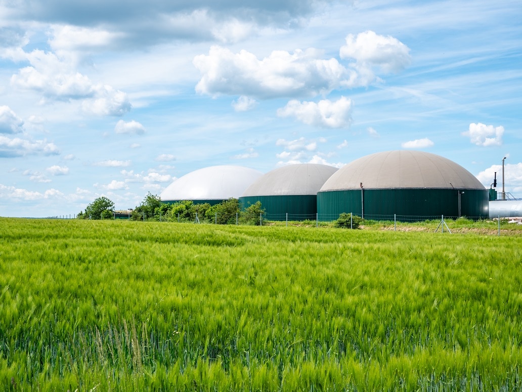 Erzeugung von Biogas und Biomethan durch thermische Verwertung von Schlachtabfällen